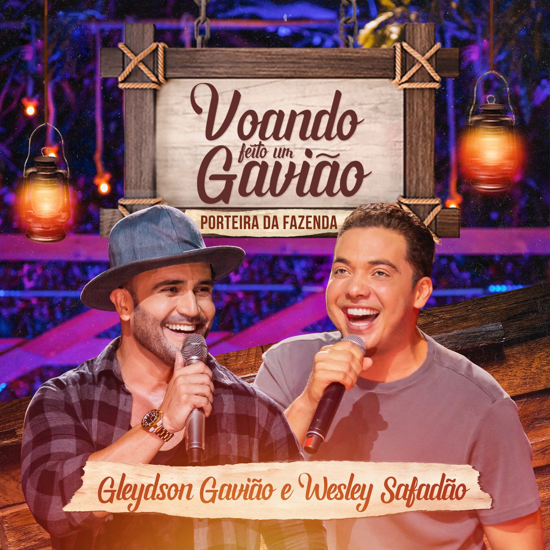 Album cover of Voando Feito Um Gavião
