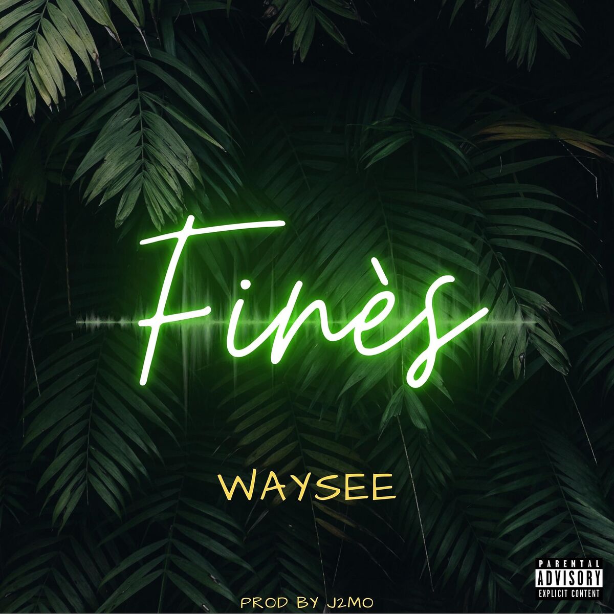 Album cover of Finès