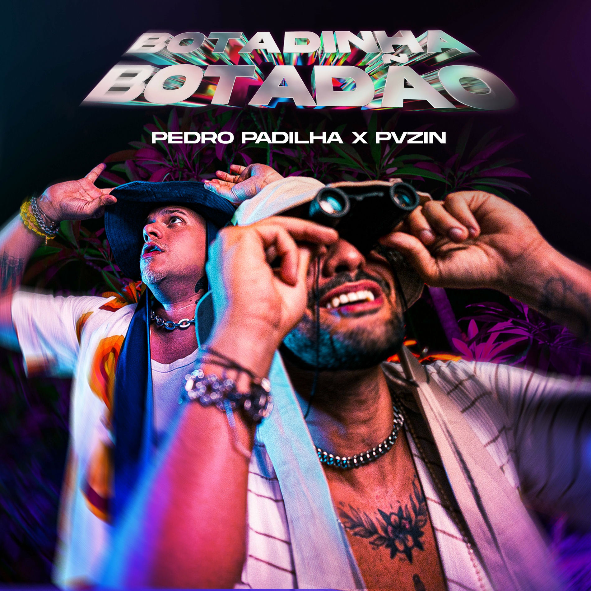 Album cover of Botadinha Botadão