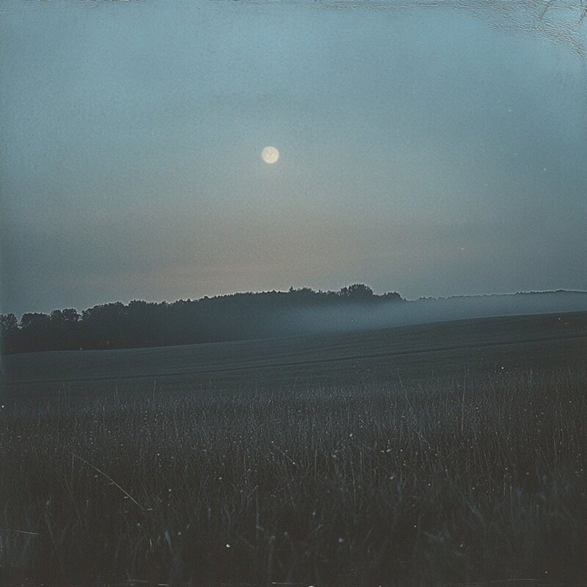 Album cover of Moonlight Walks