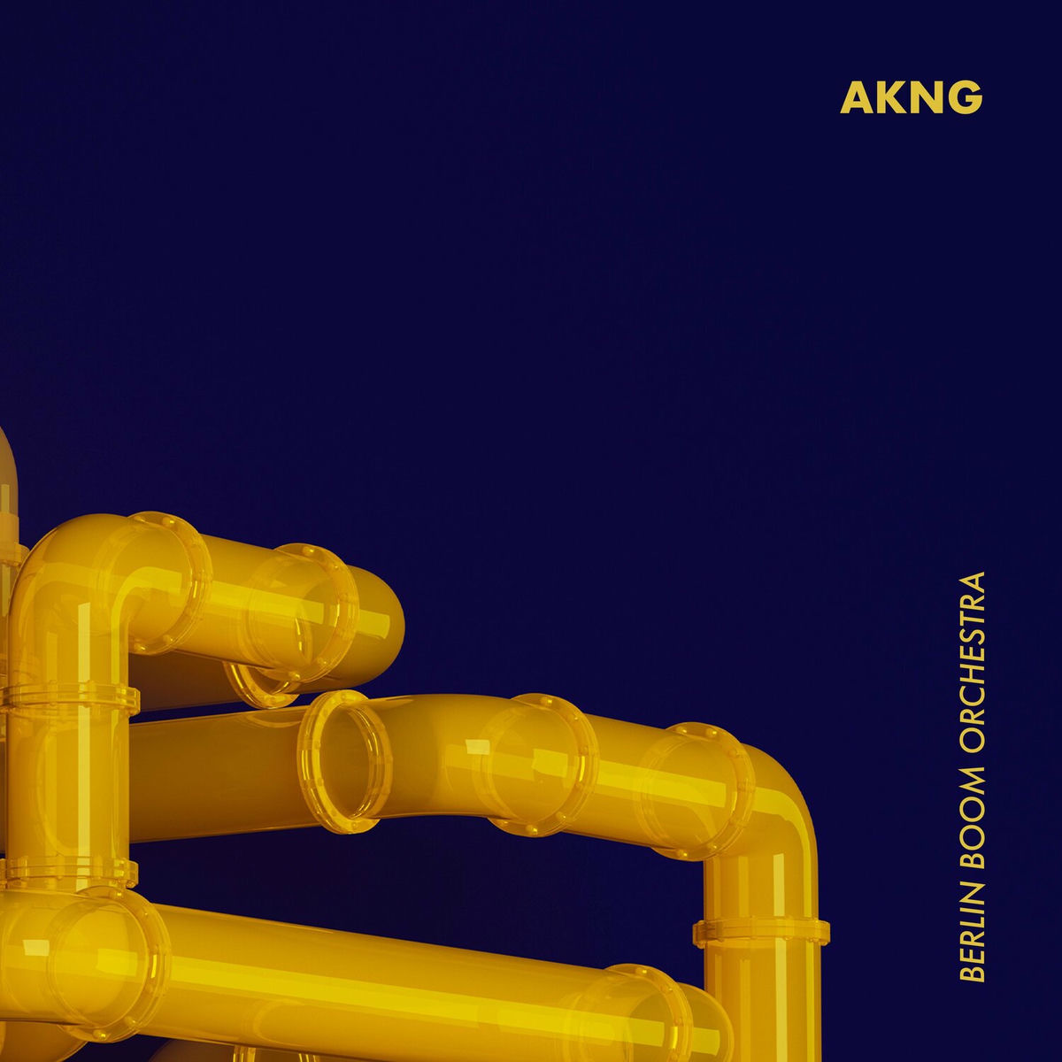 Album cover of AKNG