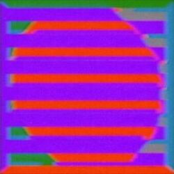 Cover of Burning