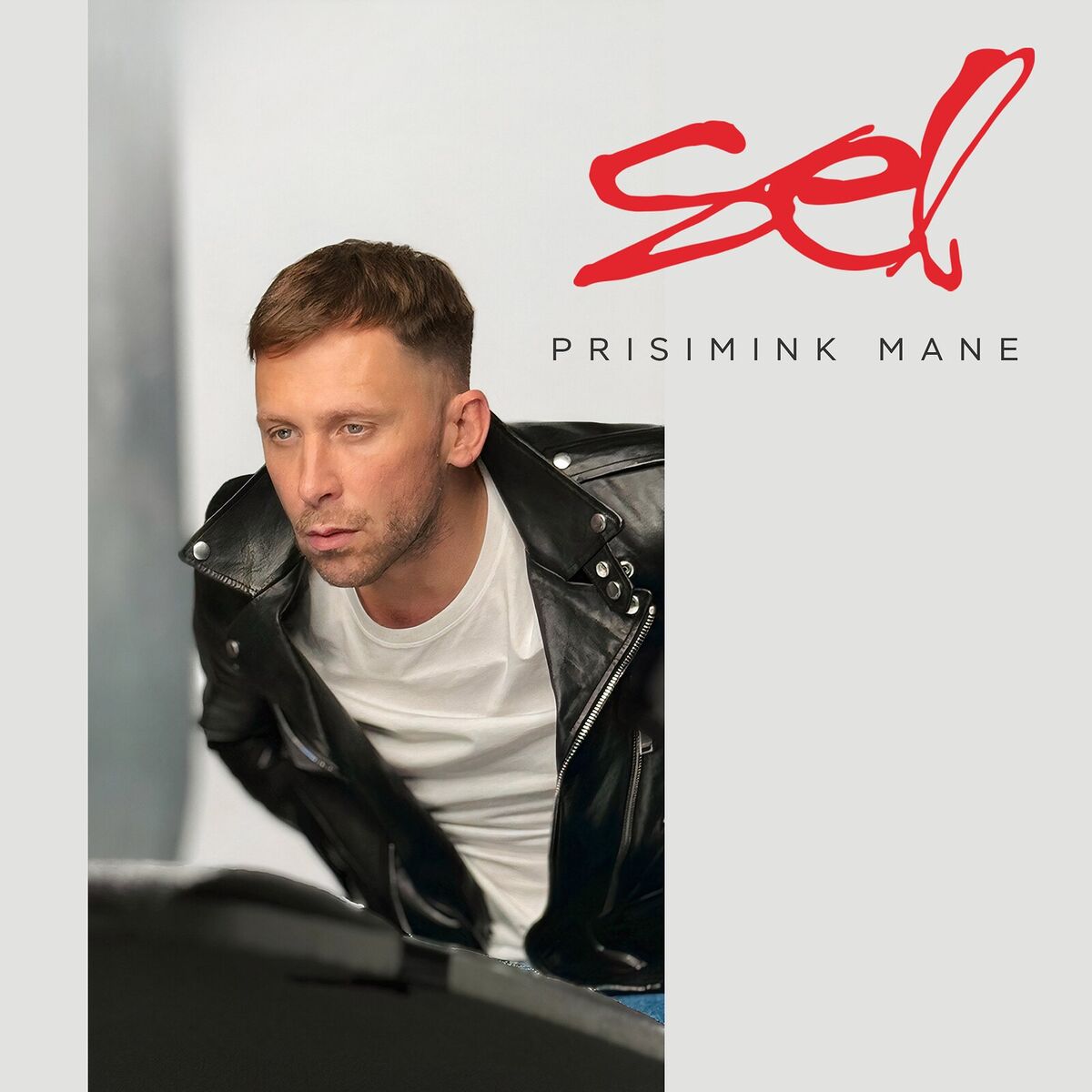 Album cover of Prisimink Mane
