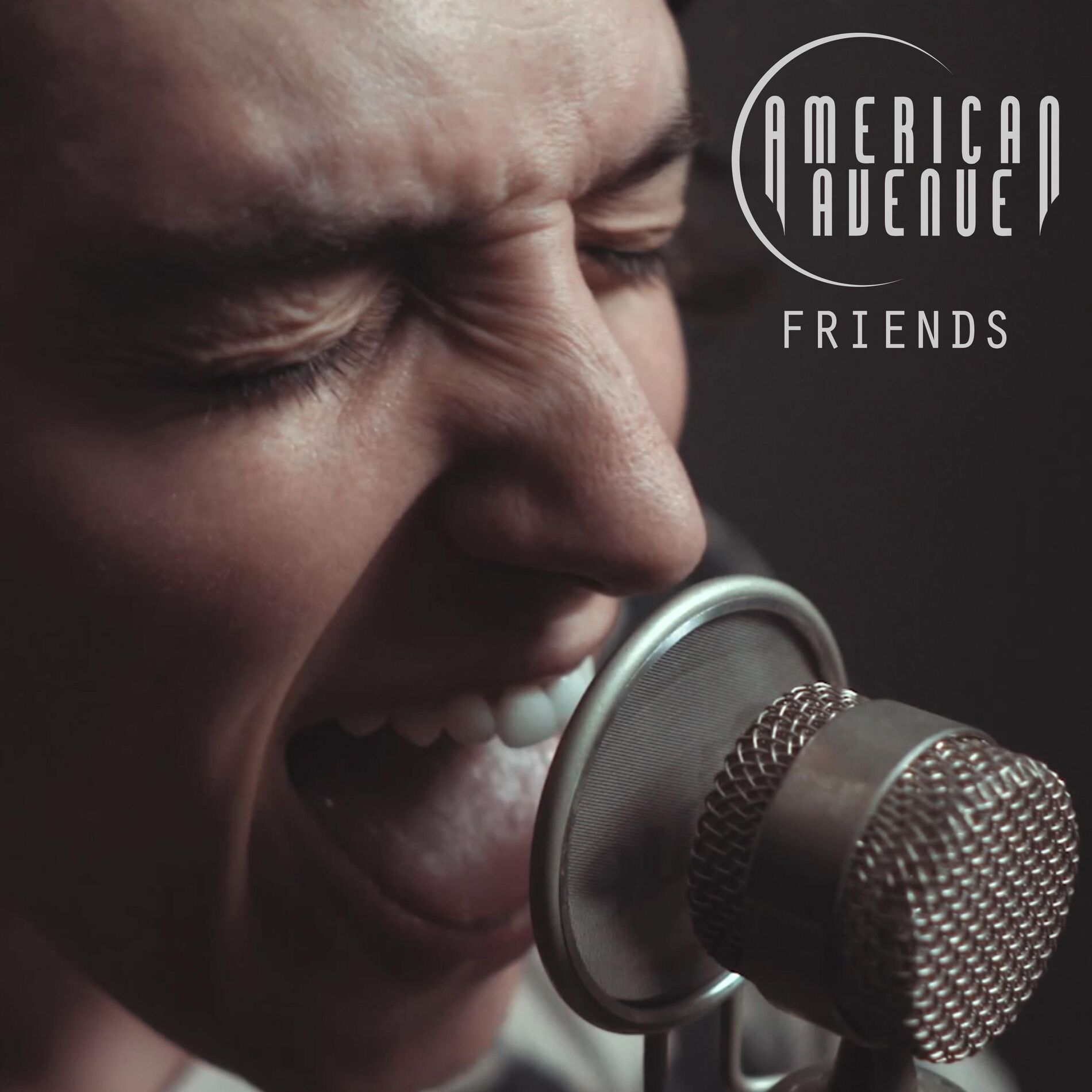 Album cover of Friends