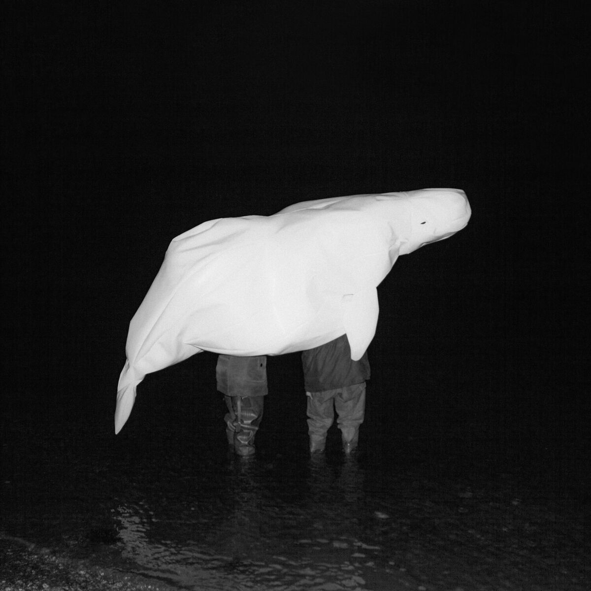 Album cover of UFO RELIGION