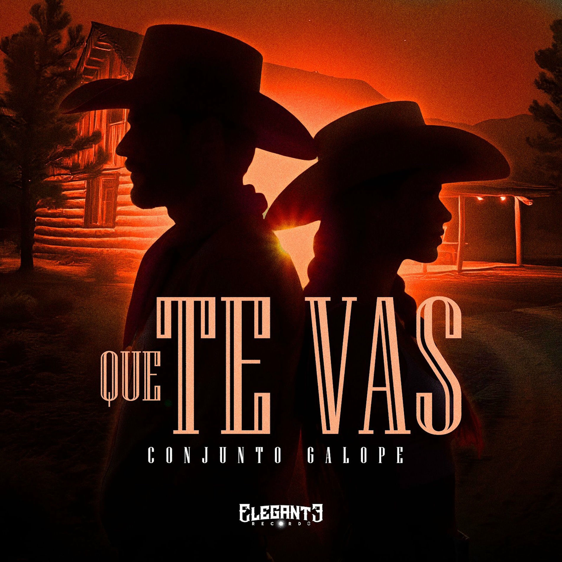 Album cover of Que Te Vas