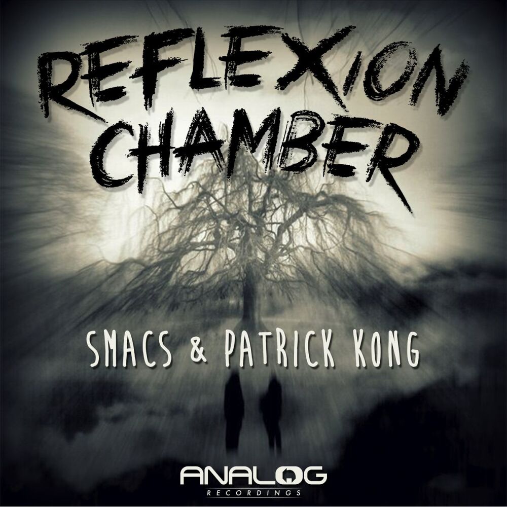 Picture of Reflexion Chamber
