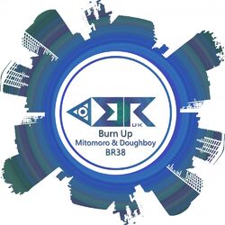 Cover of Burn Up
