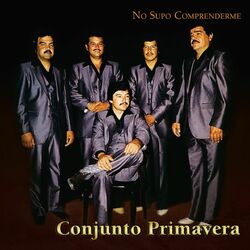 Cover of No Supo Comprenderme