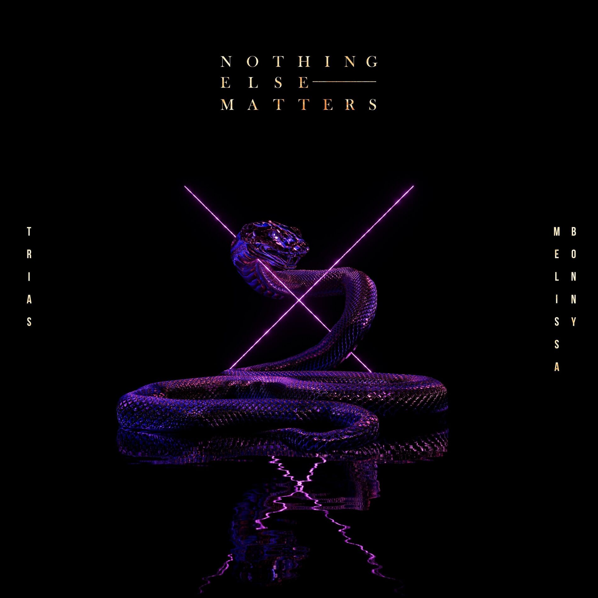 Album cover of Nothing Else Matters