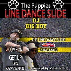 Cover of Line Dance Slide