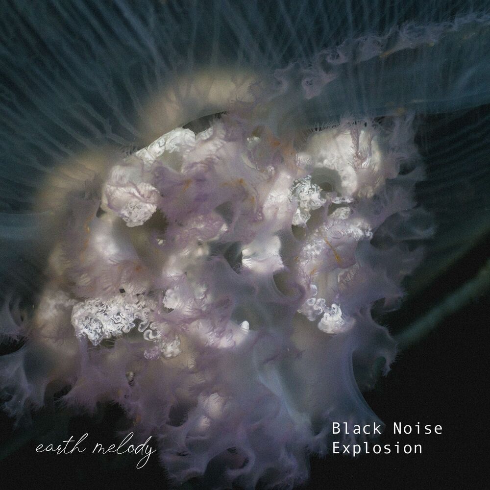 Picture of Black Noise Explosion