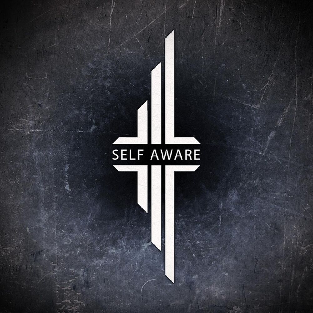 Picture of Self Aware