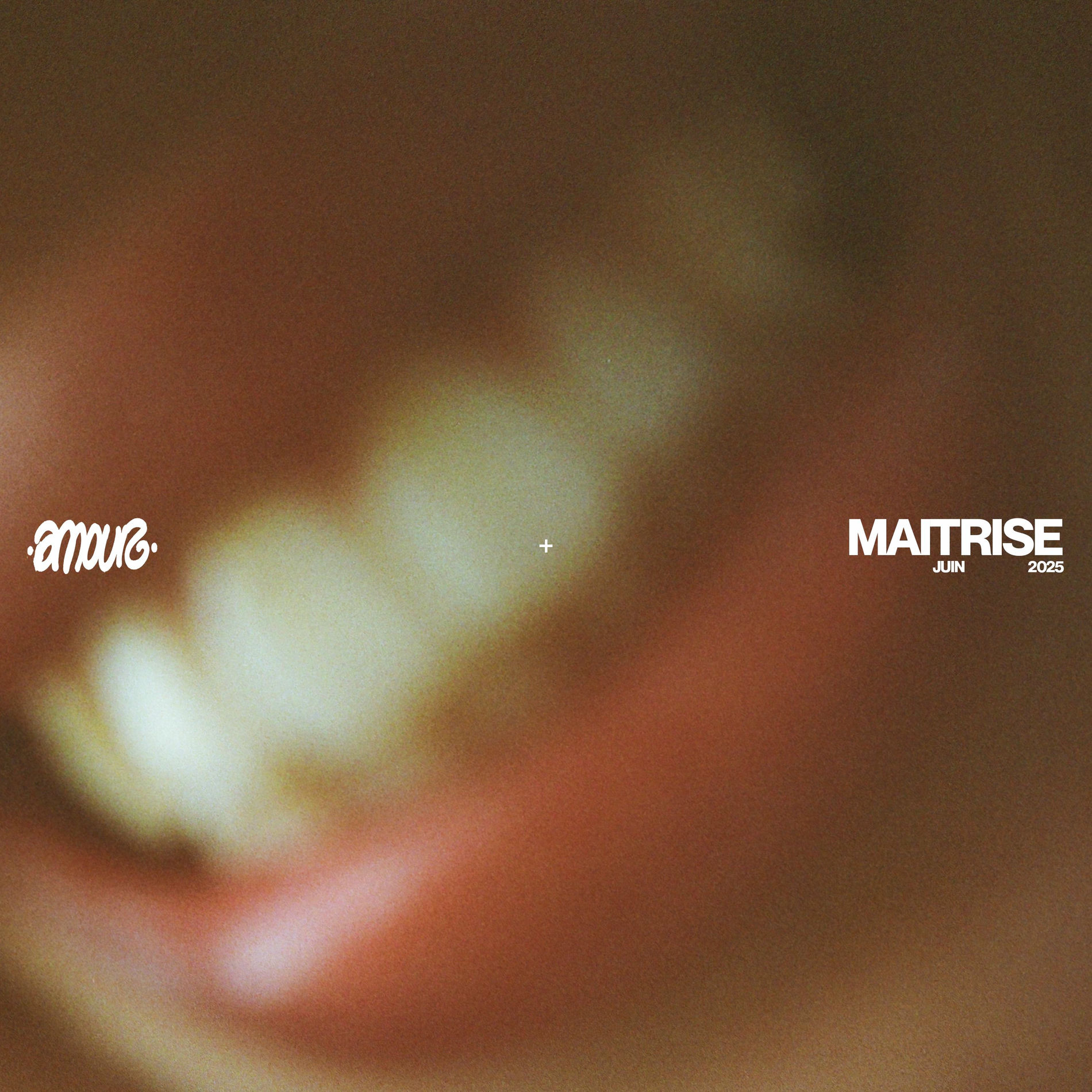 Album cover of AMOUR MAITRISE