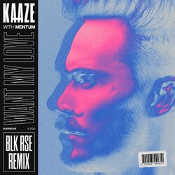 Cover of Want My Love (BLK RSE Remix)