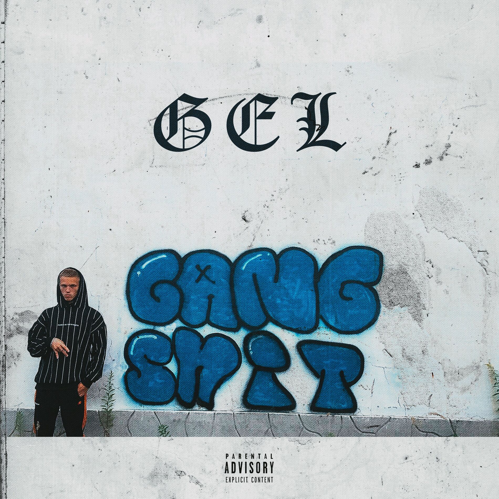 Album cover of Gang Shit