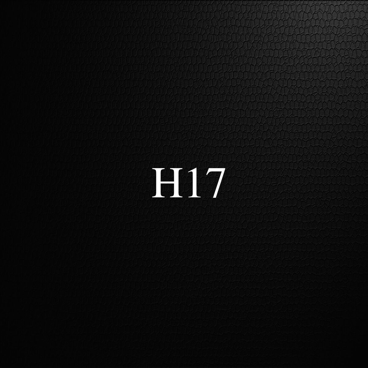 Album cover of H17