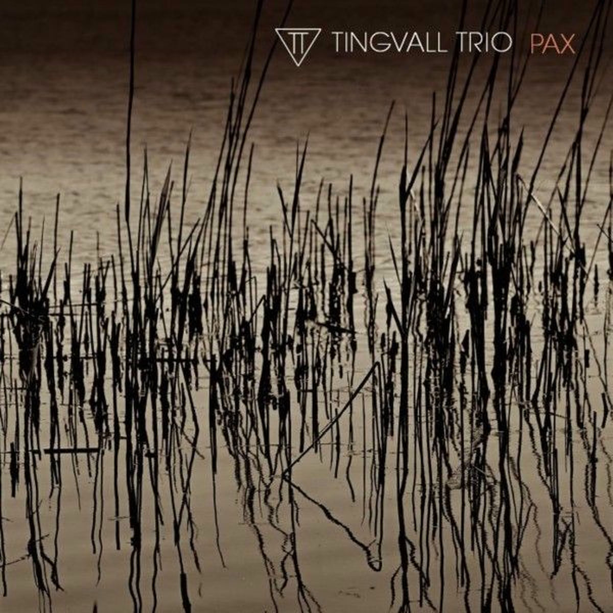 Album cover of A Promise