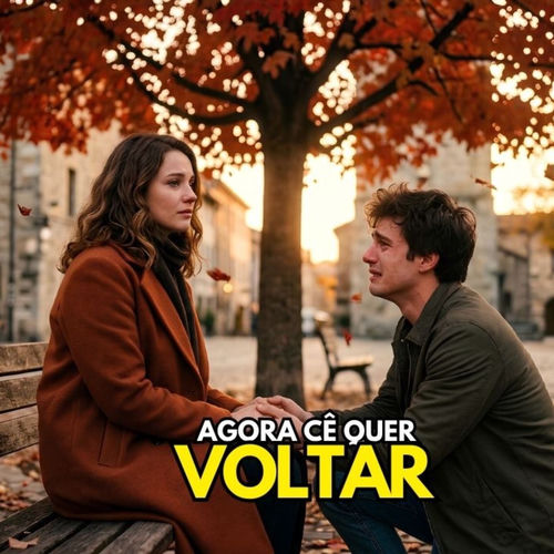 AGORA CÊ QUER VOLTAR