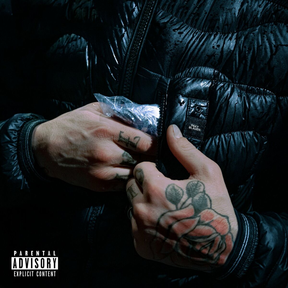 Album cover of Blauer