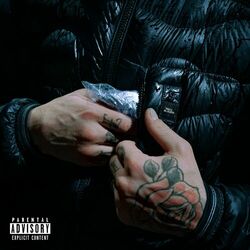 Cover of Blauer