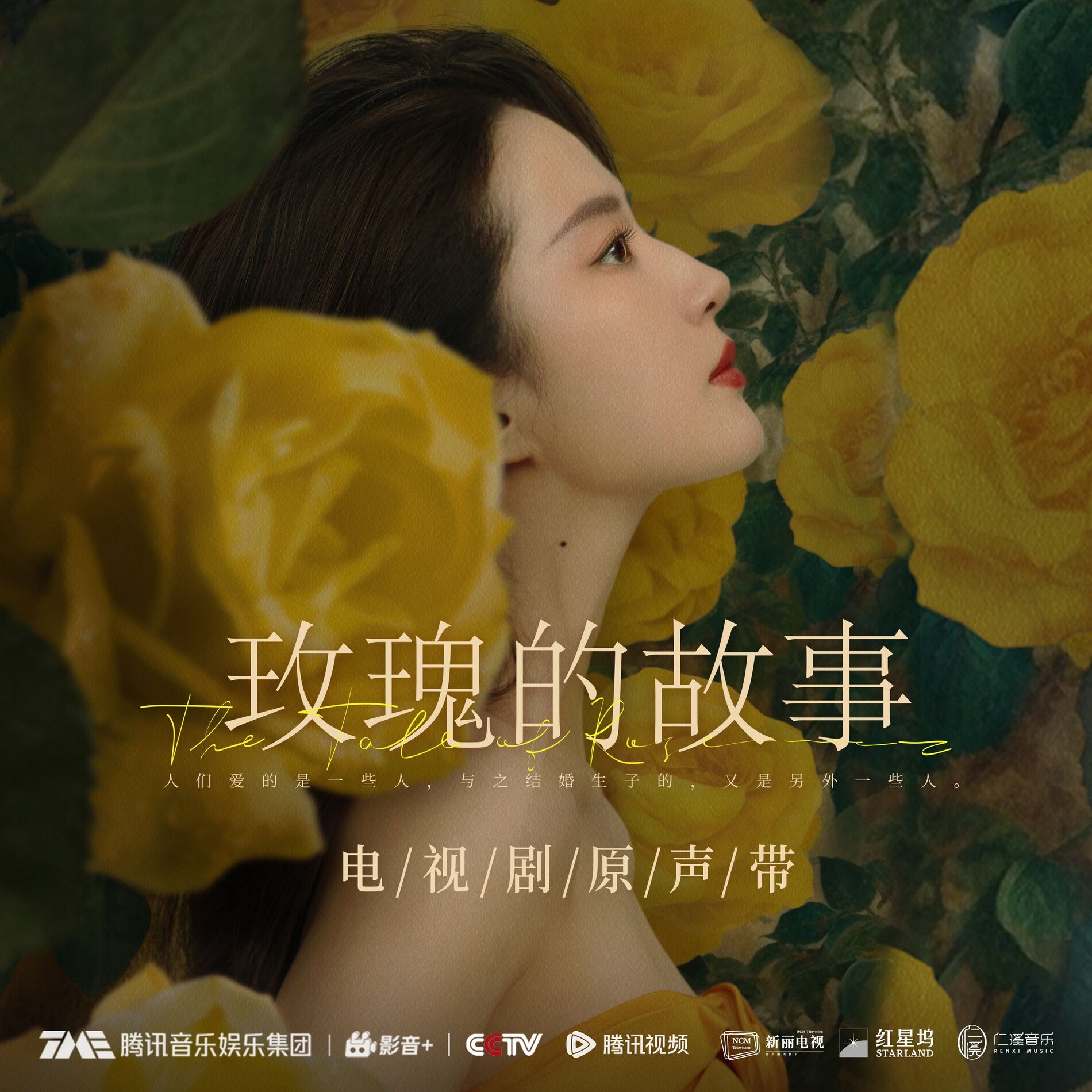Album cover of 玫瑰的故事 电视剧原声带