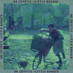Cover of Little Bugger