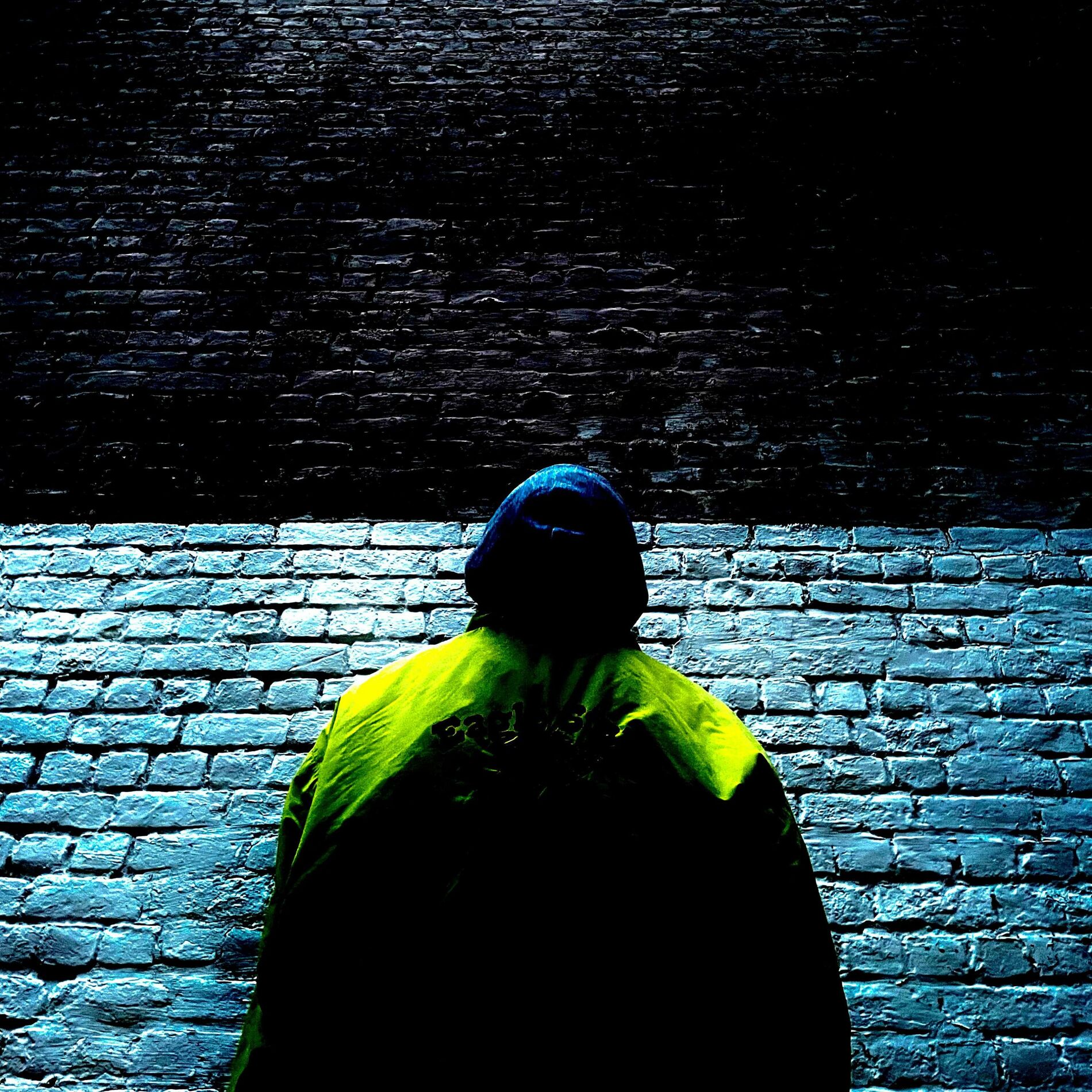 Album cover of Lucide