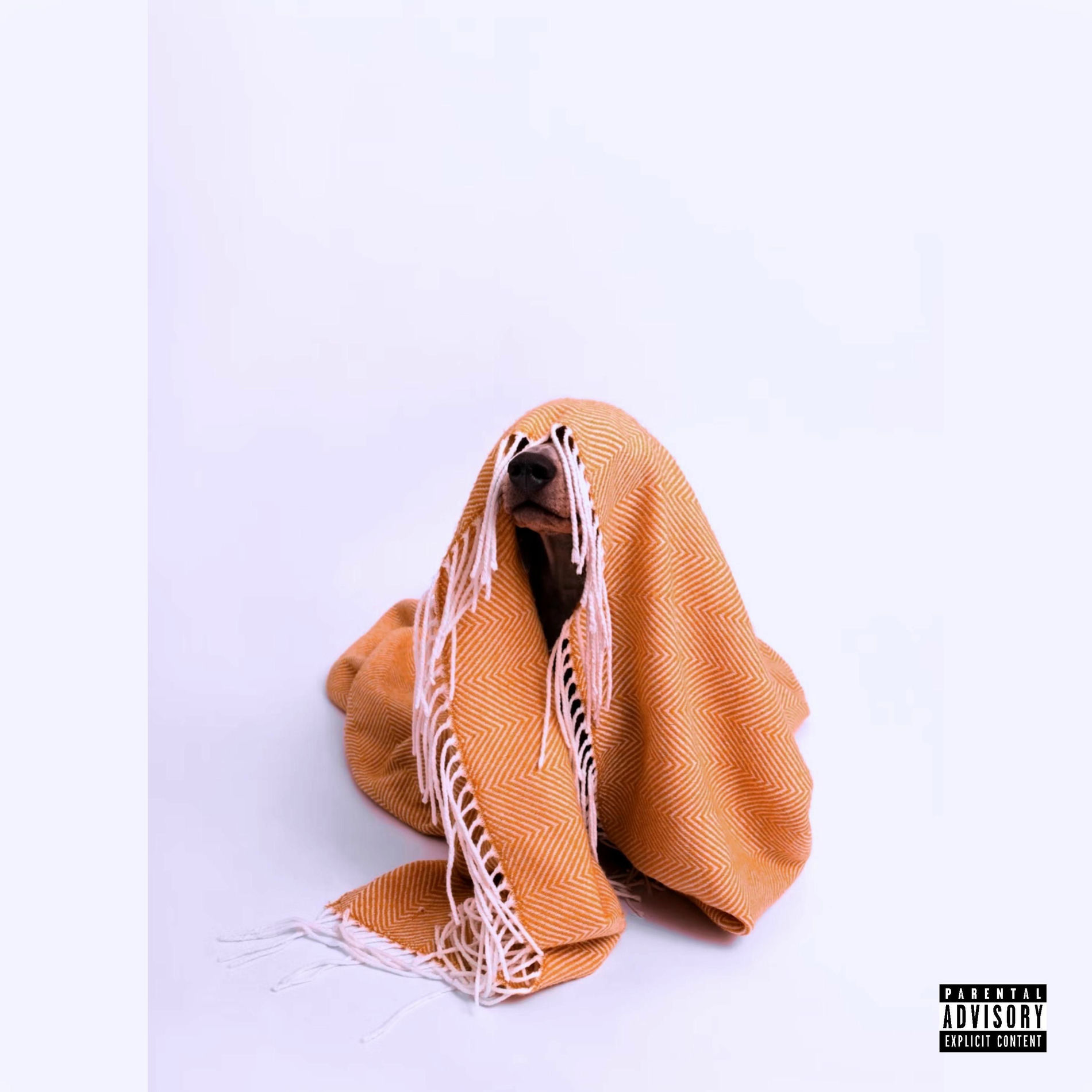 Album cover of Under The Blanket (feat. HaloVV, Aron Ra & mIKe)