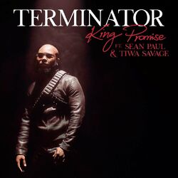 Cover of Terminator (Remix)