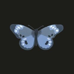 Cover of Butterfly
