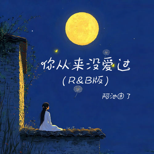 你从来没爱过 (R&B版)