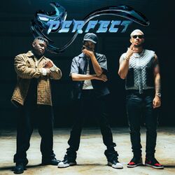 Cover of Perfect