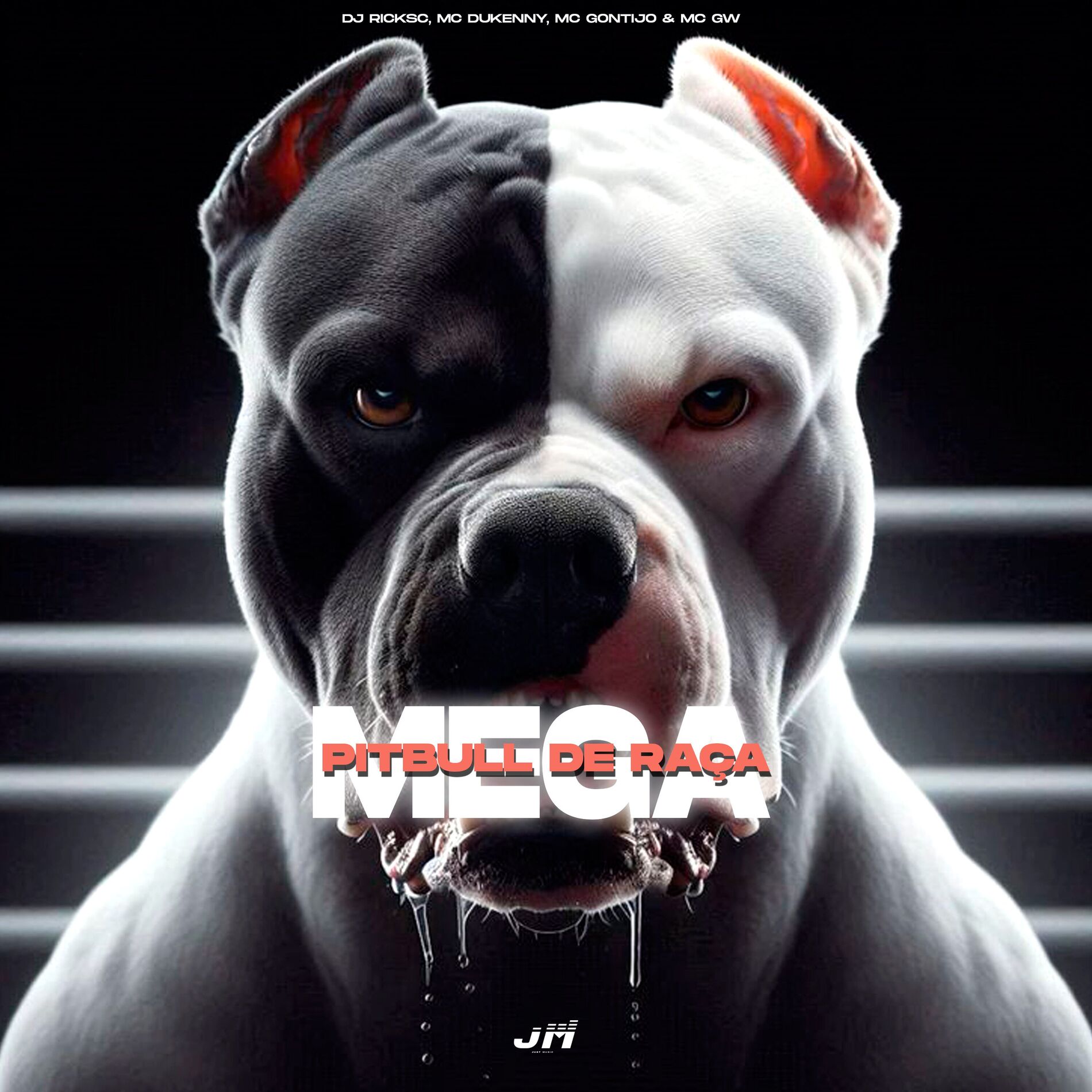Album cover of Mega Pitbull de Raça