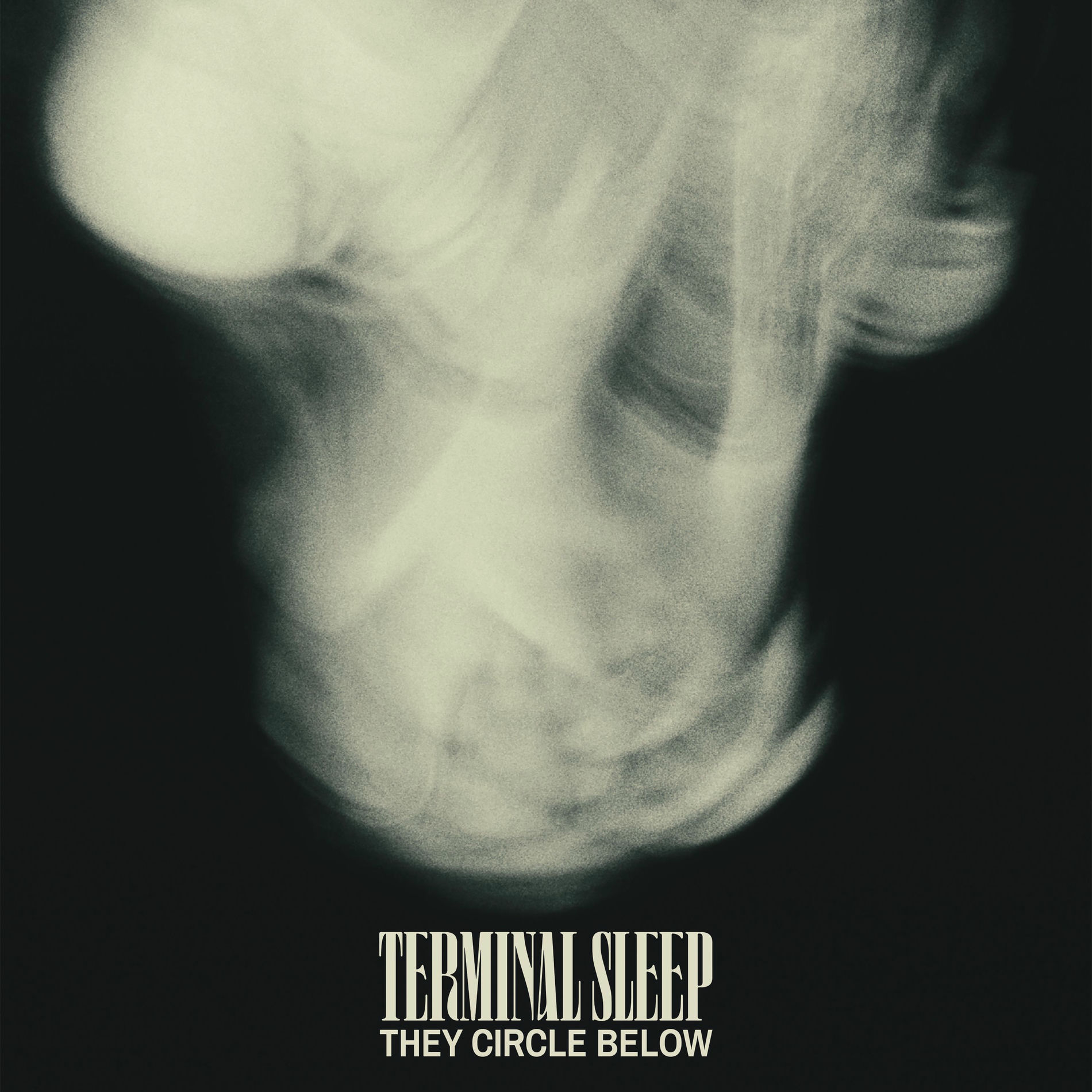 Album cover of They Circle Below