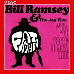 Cover of Fat Man
