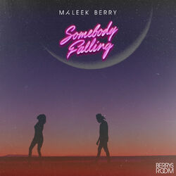Cover of Somebody Falling