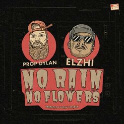 Cover of No Rain No Flowers