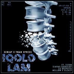 Cover of Iqolo Lam (feat. Mellow & Sleazy, SjavasDaDeejay, TitoM, LK Deepstix)