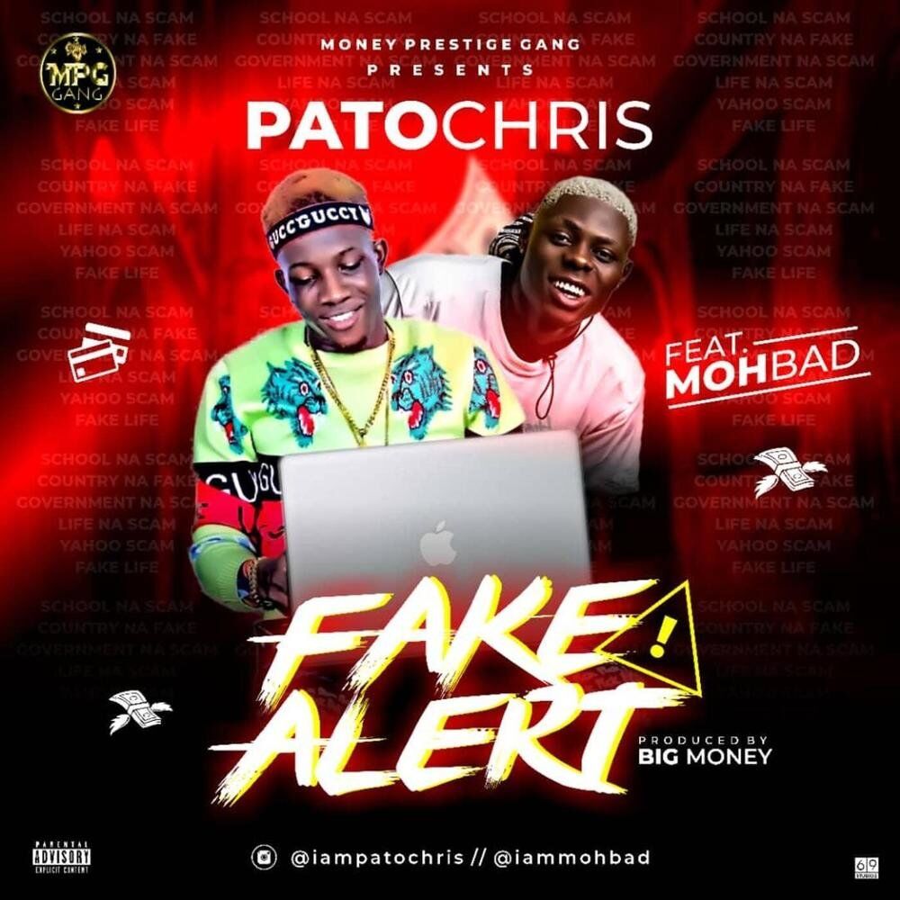 Picture of Fake Alert