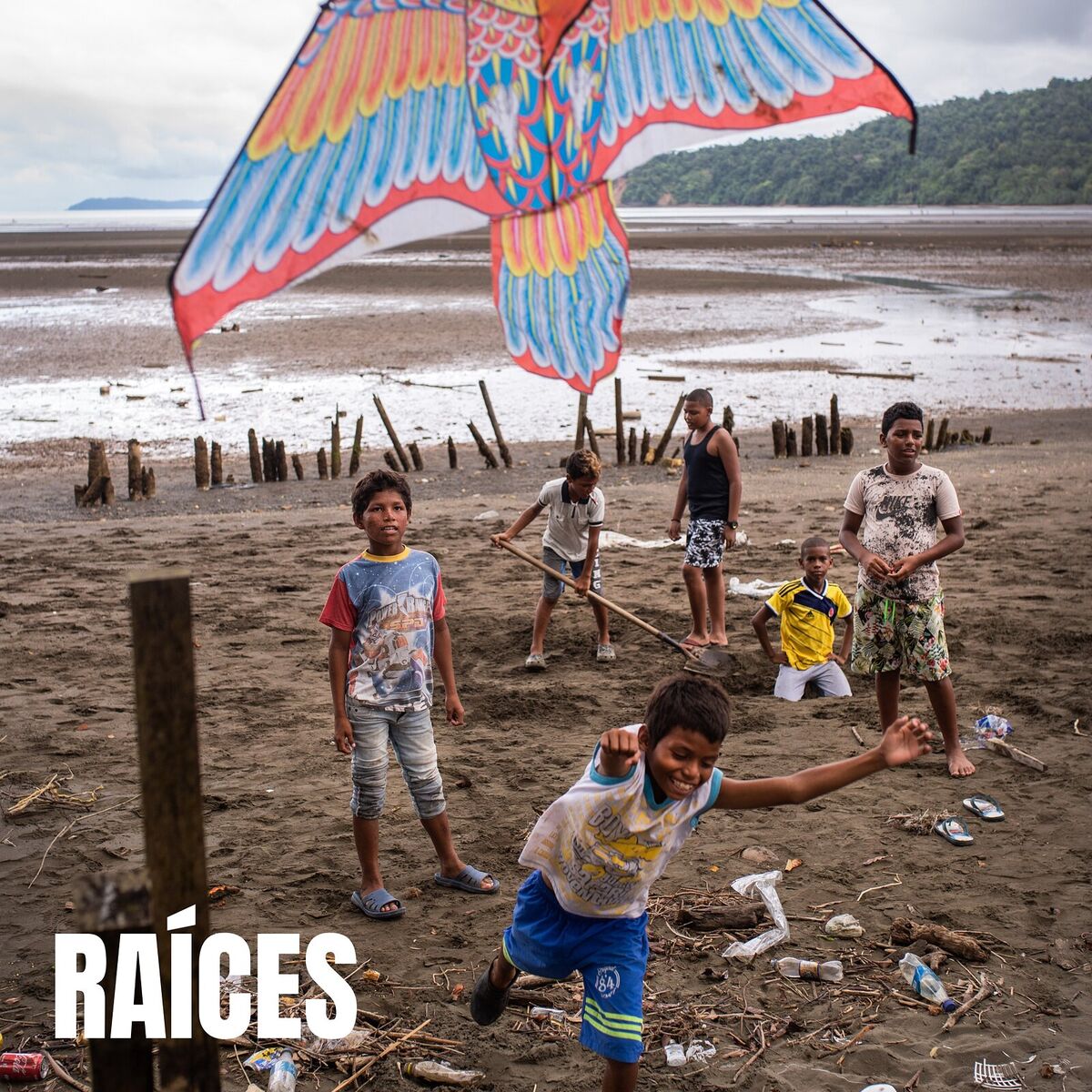 Album cover of Taína