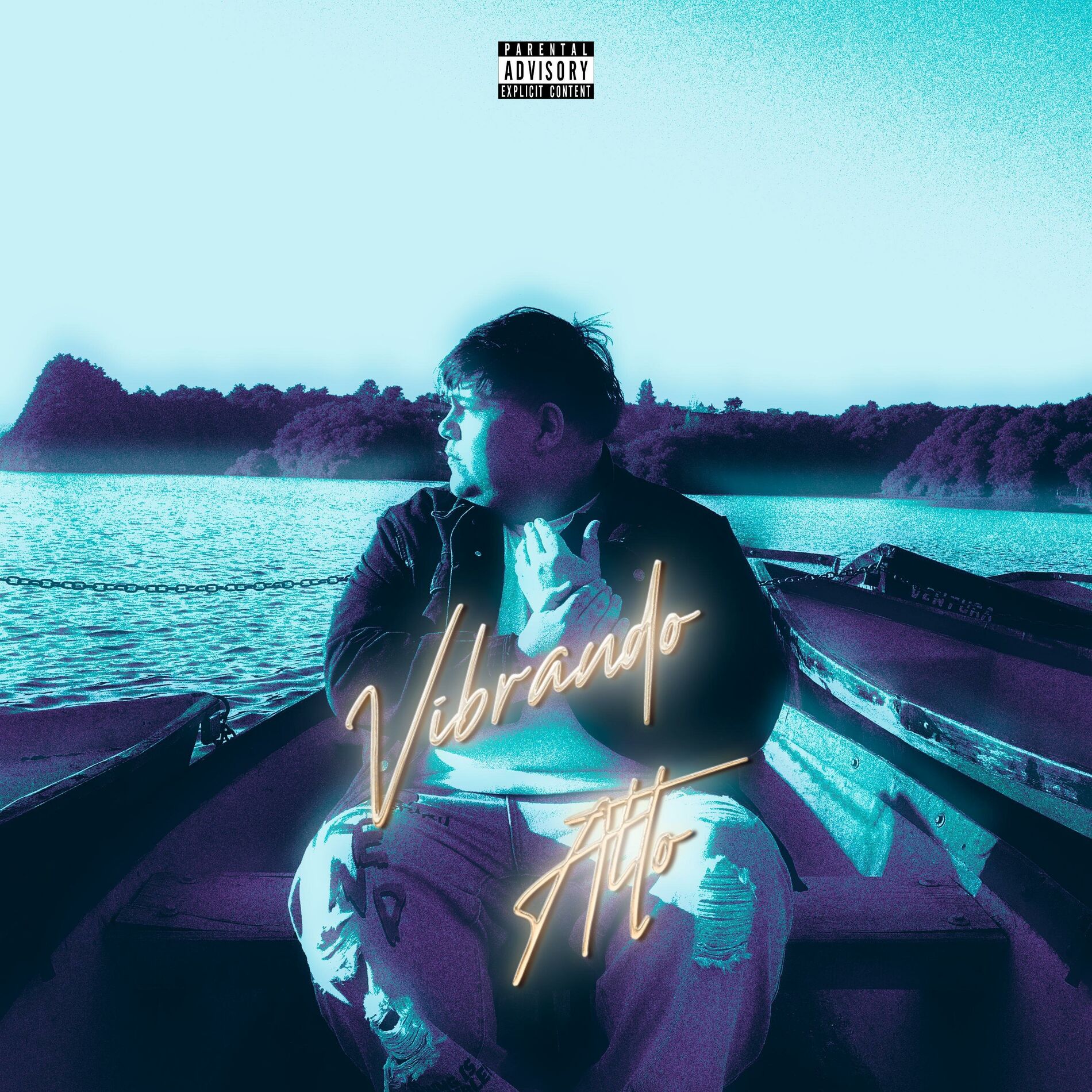 Album cover of Vibrando Alto