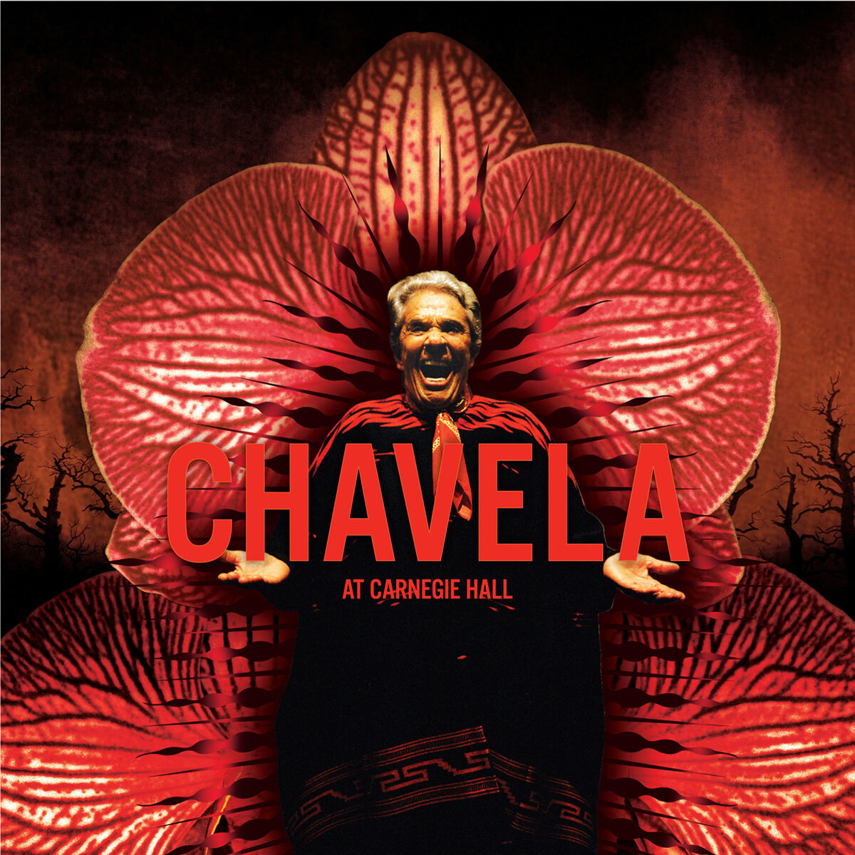 Album cover of At Carnegie Hall (Live)