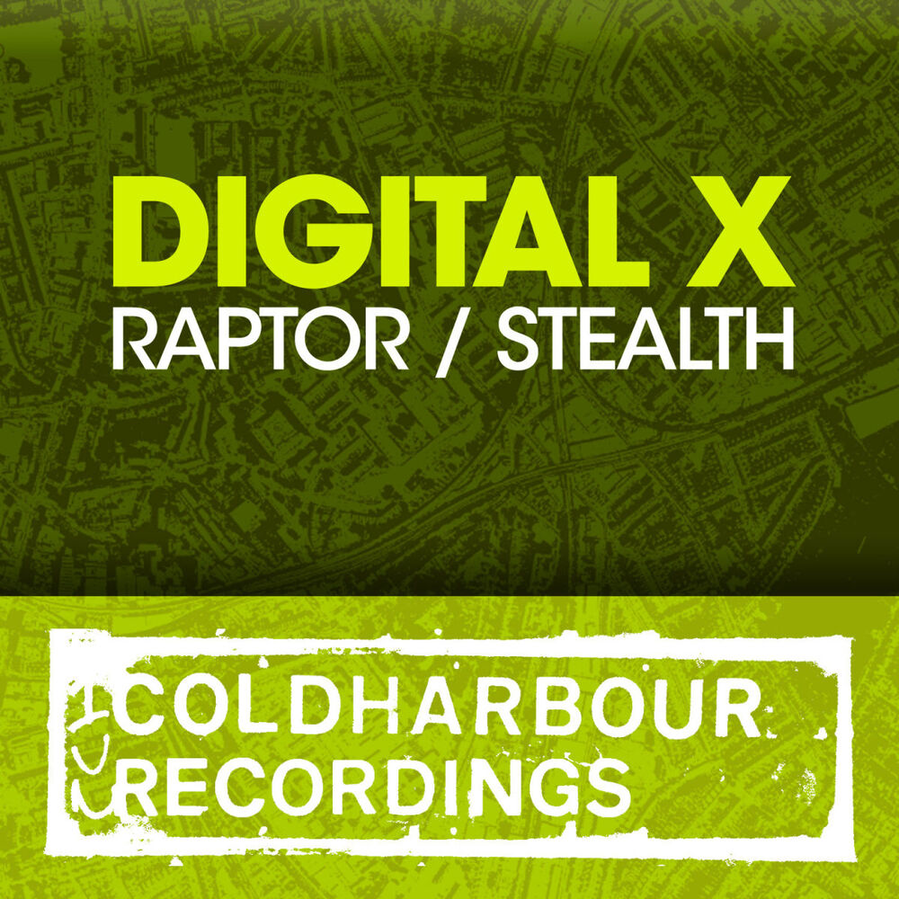 Picture of Raptor / Stealth