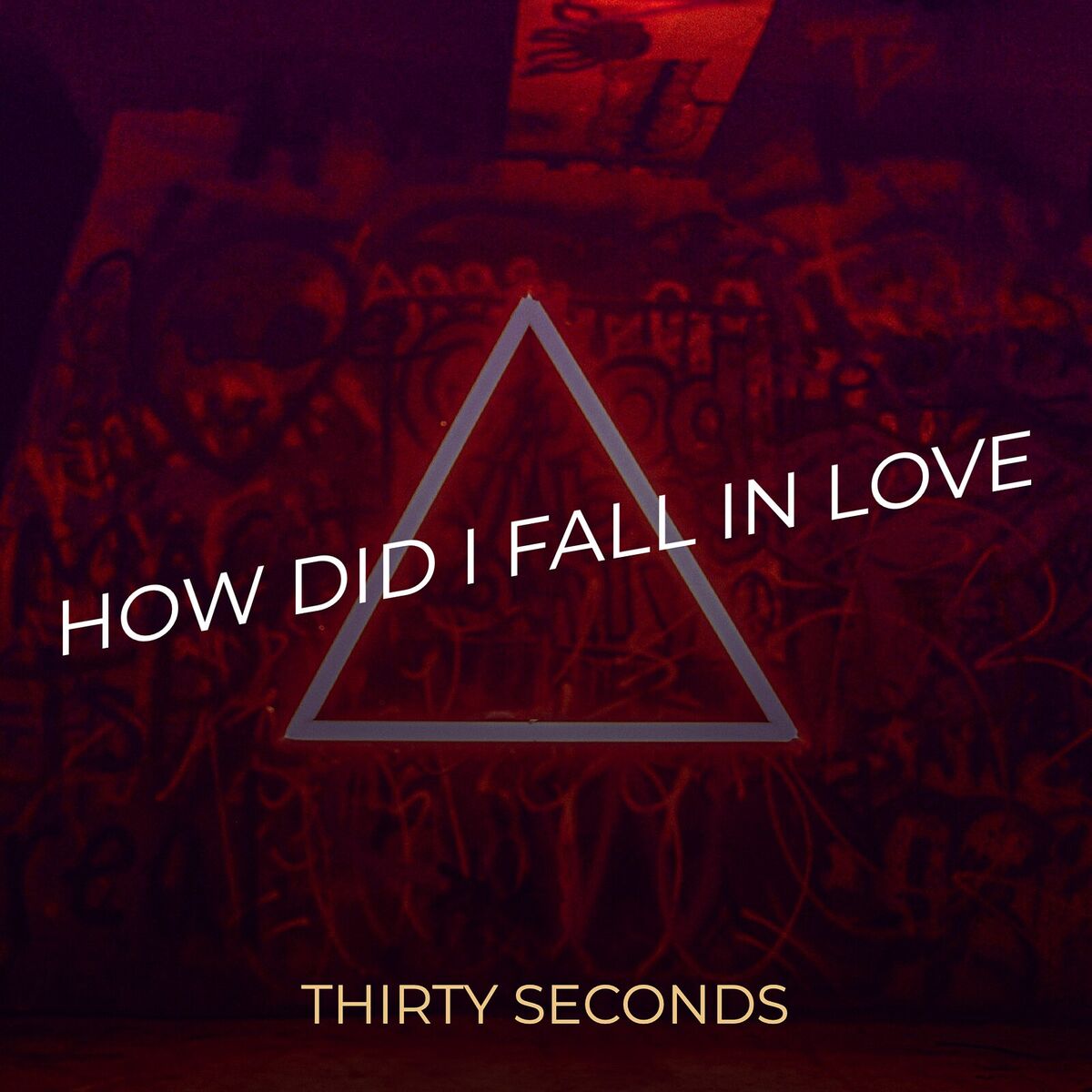 Album cover of How Did I Fall in Love