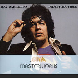 Cover of Masterwork Indestructible