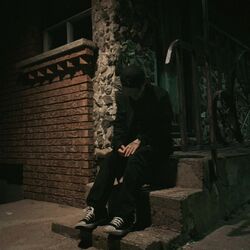 Cover of I Don't Care.