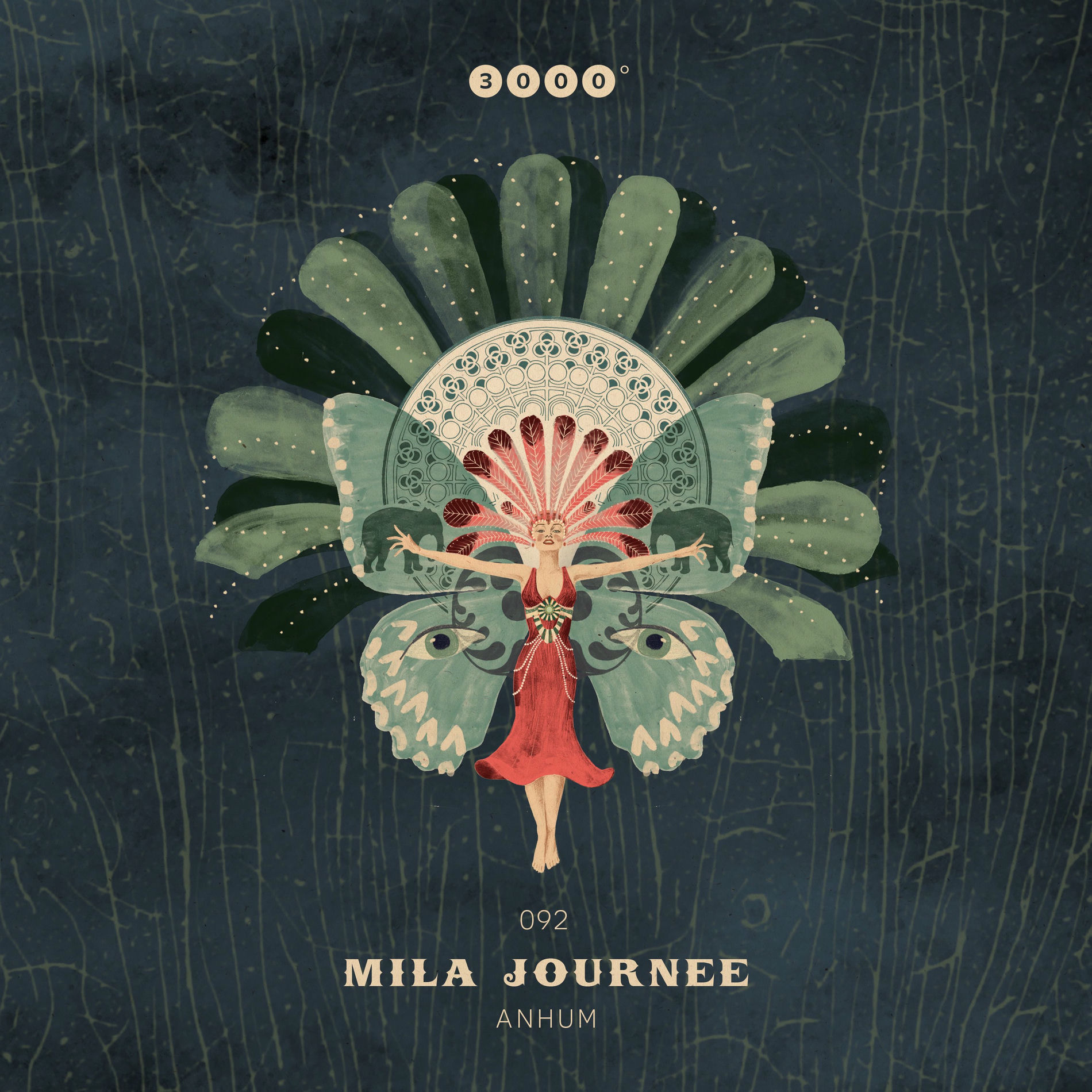 Album cover of Anhum