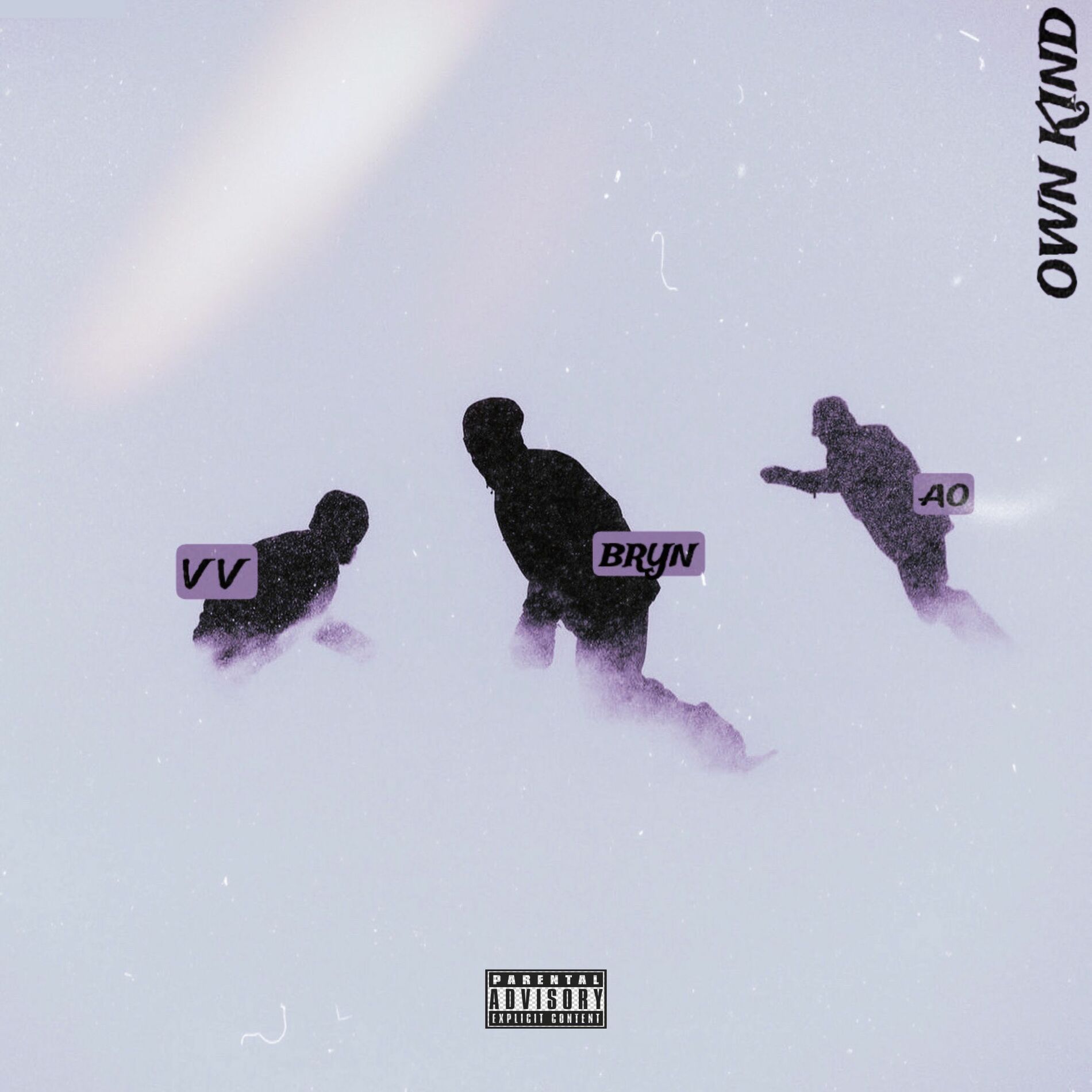 Album cover of Own Kind