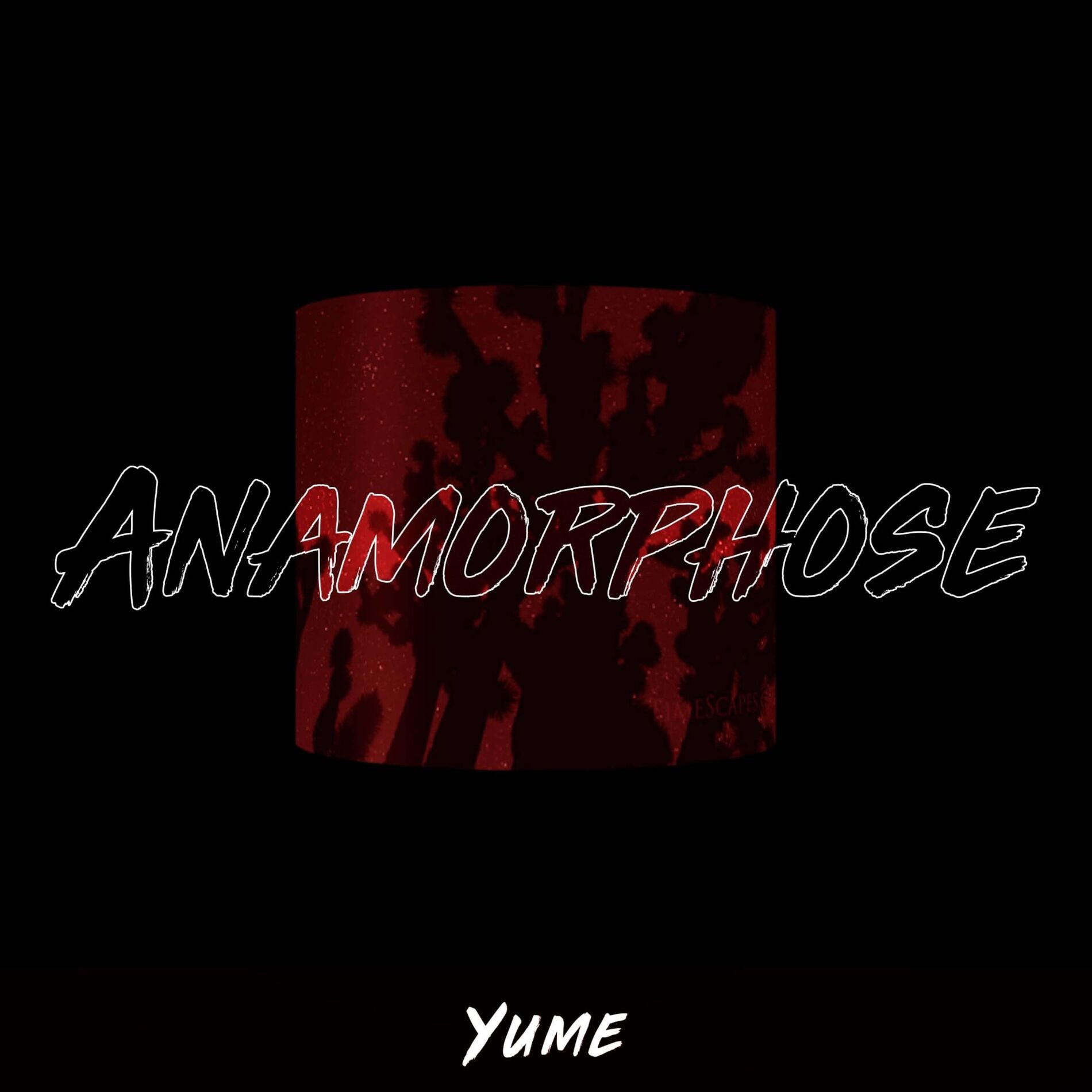 Album cover of Anamorphose